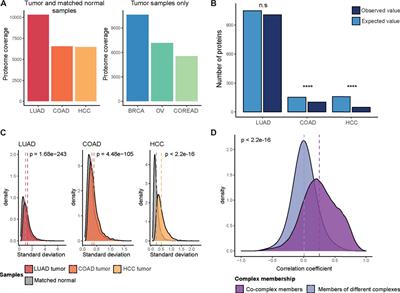 Protein Complex Organization Imposes Constraints on Proteome Dysregulation in Cancer